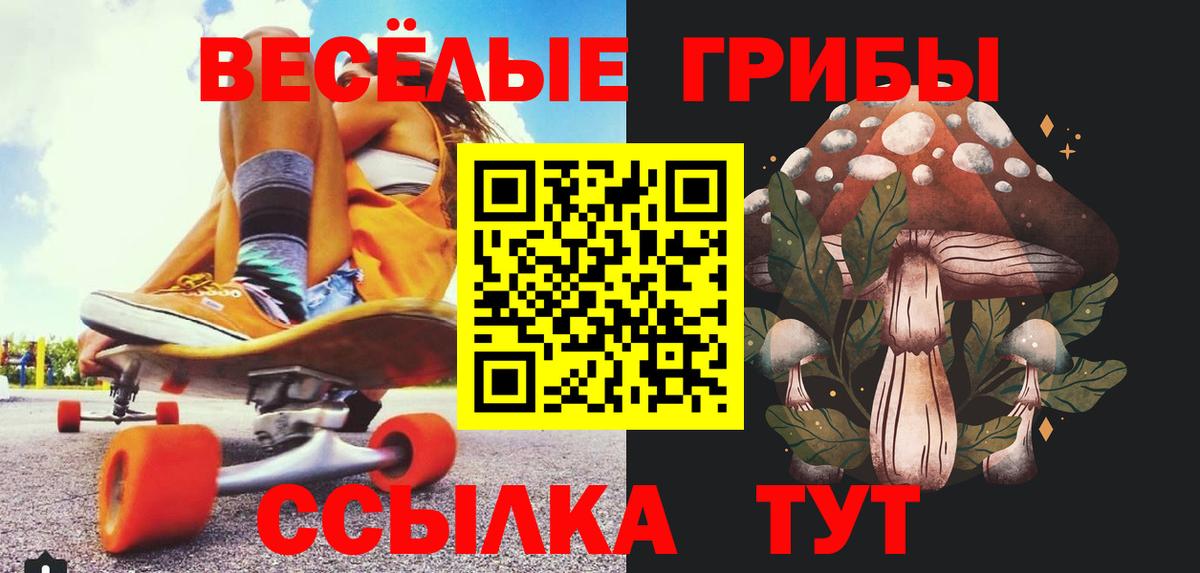 Галлюциногенные грибы MAGIC MUSHROOMS  Вход с VPN  Шадринск 