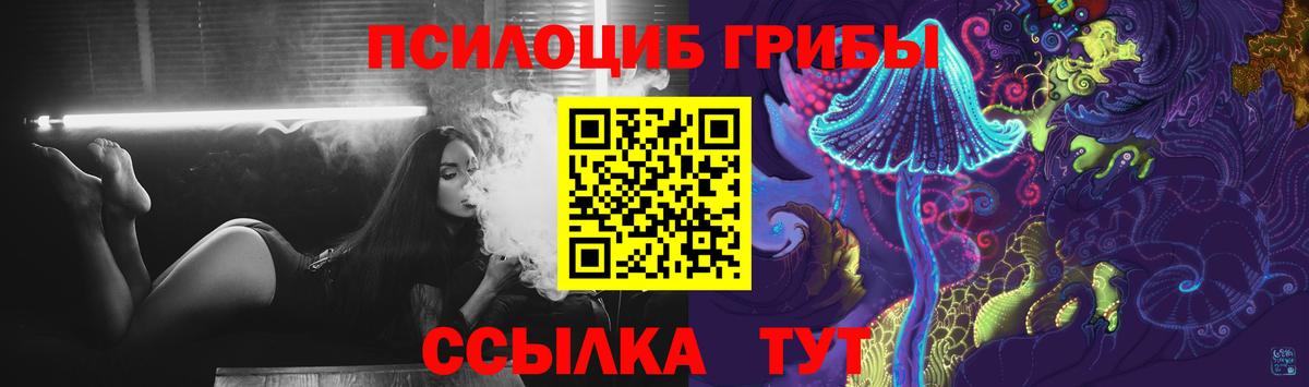 Галлюциногенные грибы GOLDEN TEACHER Шадринск